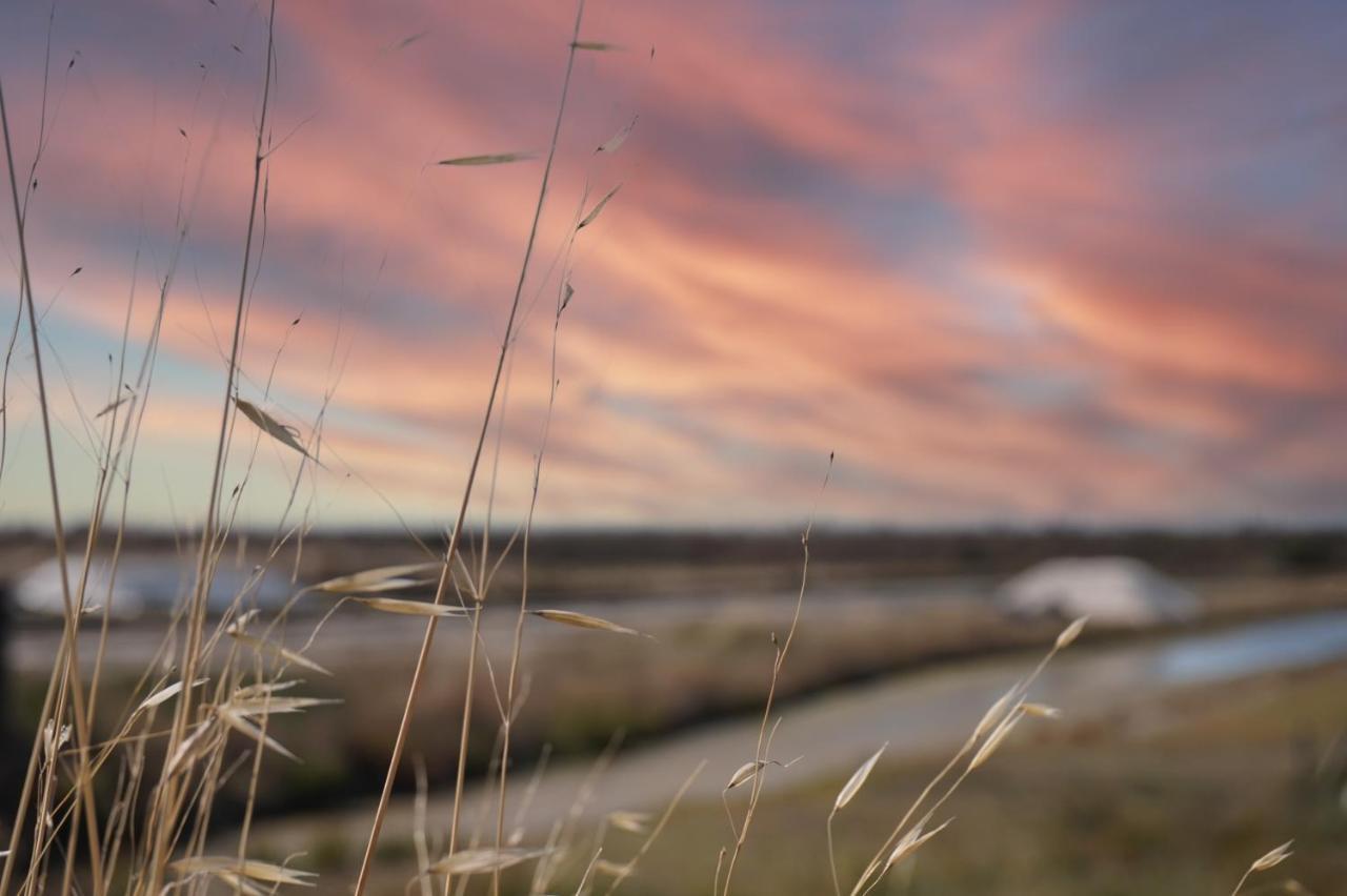 Willa Le Parc Des Mimosas Noirmoutier-en-l'Ile Zewnętrze zdjęcie