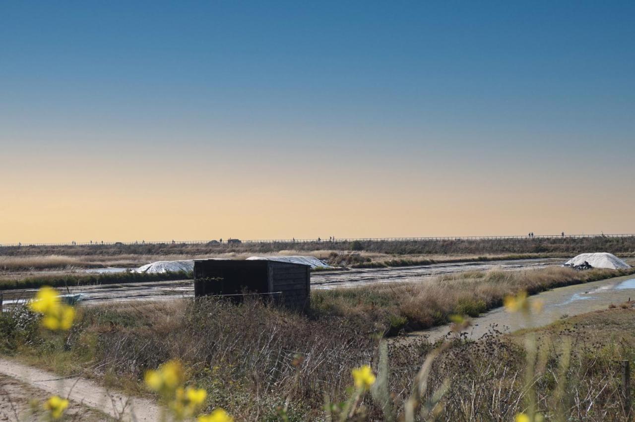 Willa Le Parc Des Mimosas Noirmoutier-en-l'Ile Zewnętrze zdjęcie
