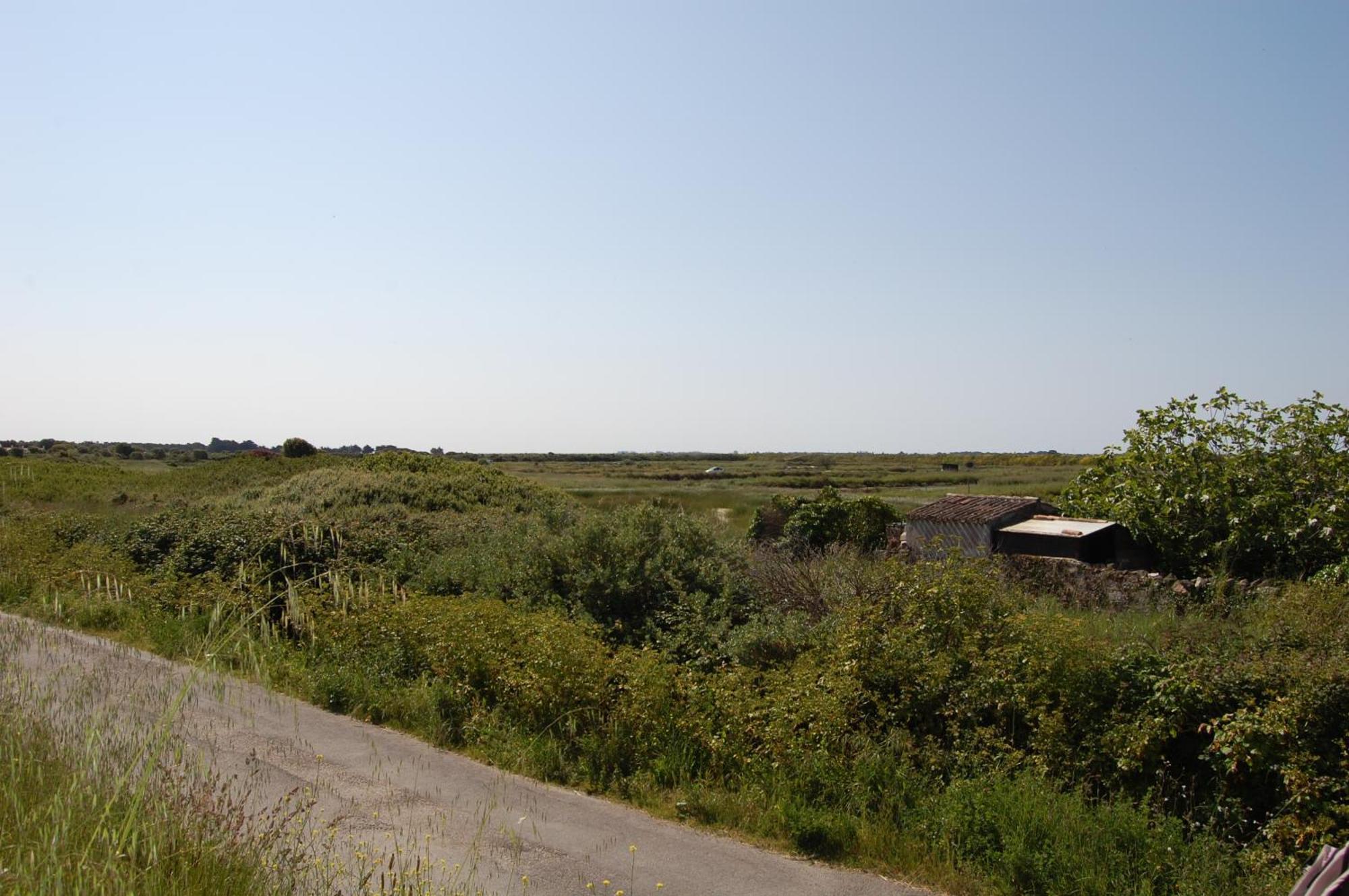 Willa Le Parc Des Mimosas Noirmoutier-en-l'Ile Zewnętrze zdjęcie