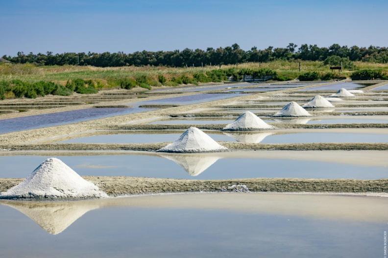 Willa Le Parc Des Mimosas Noirmoutier-en-l'Ile Zewnętrze zdjęcie
