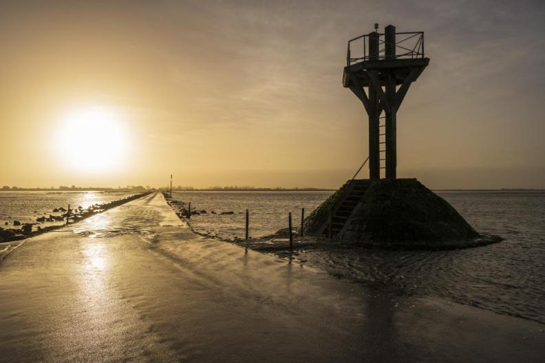 Willa Le Parc Des Mimosas Noirmoutier-en-l'Ile Zewnętrze zdjęcie