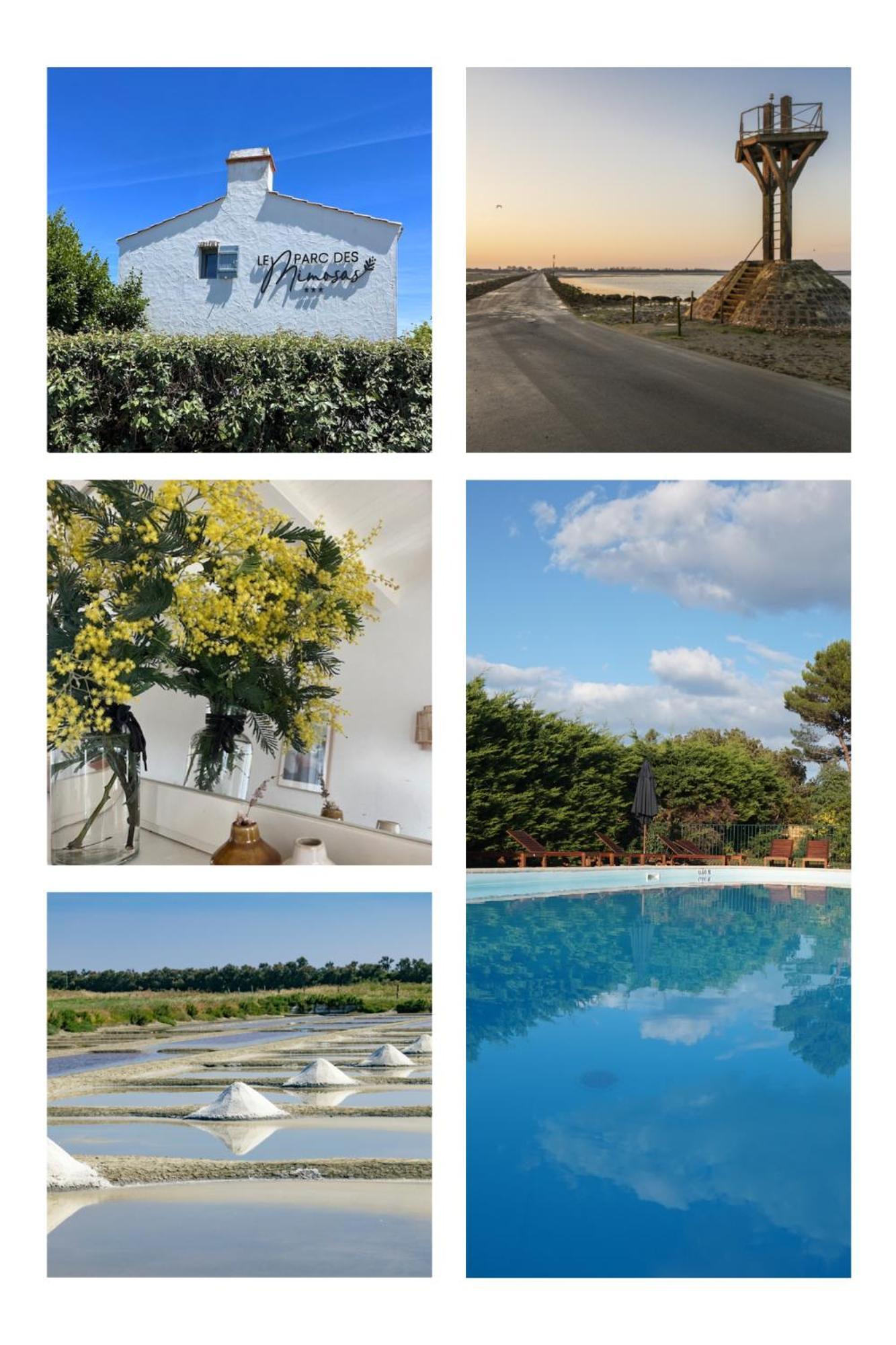 Willa Le Parc Des Mimosas Noirmoutier-en-l'Ile Zewnętrze zdjęcie